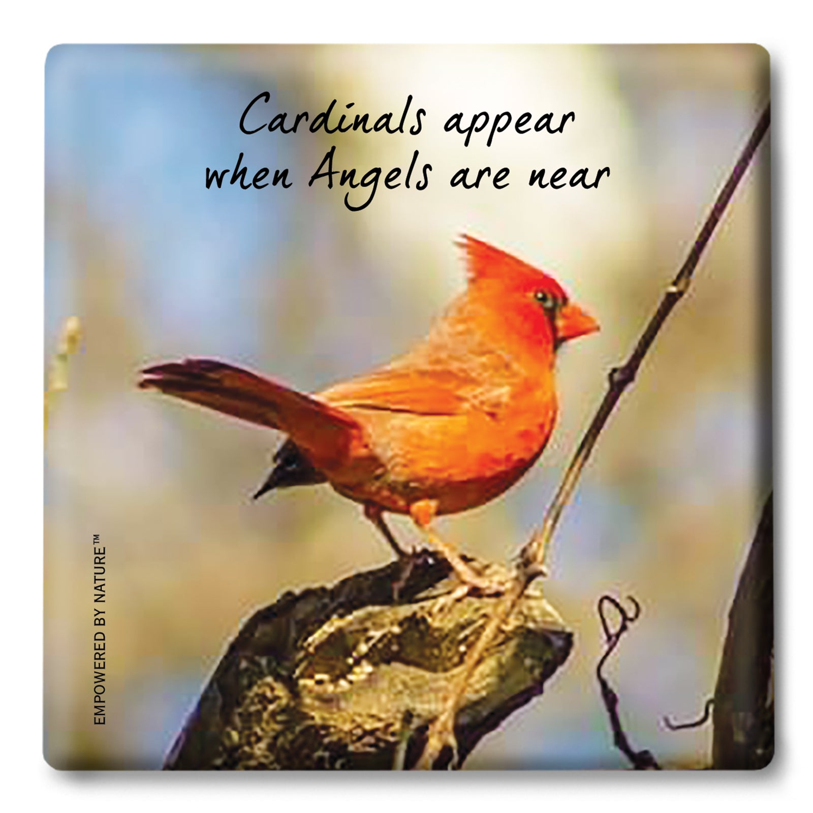 Cardinals Appear when Angels Are Near Graphic by OliCloud